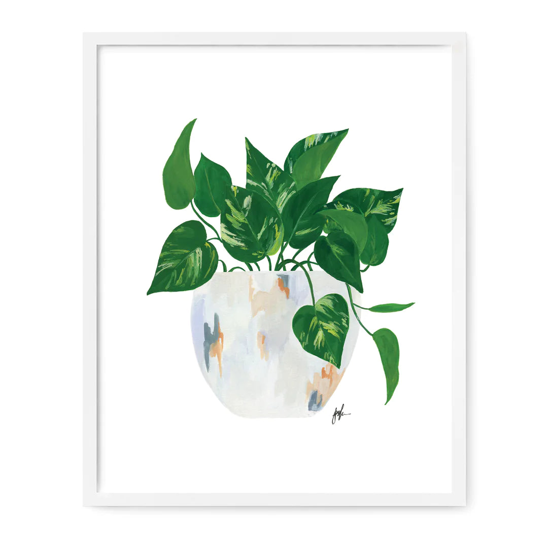 Art Print Golden Pothos