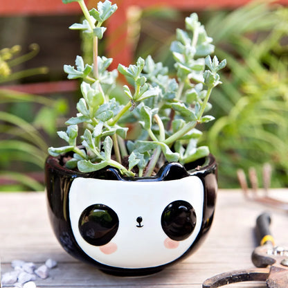 Panda Planter