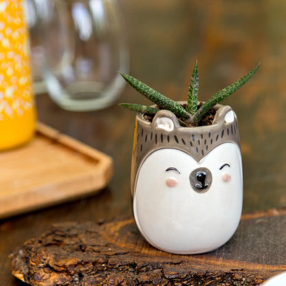 Hedgehog Planter Pot