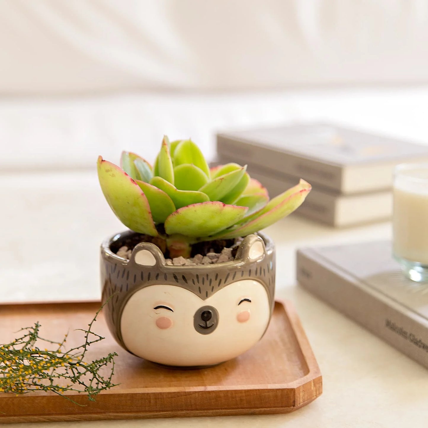 Hedgehog Planter