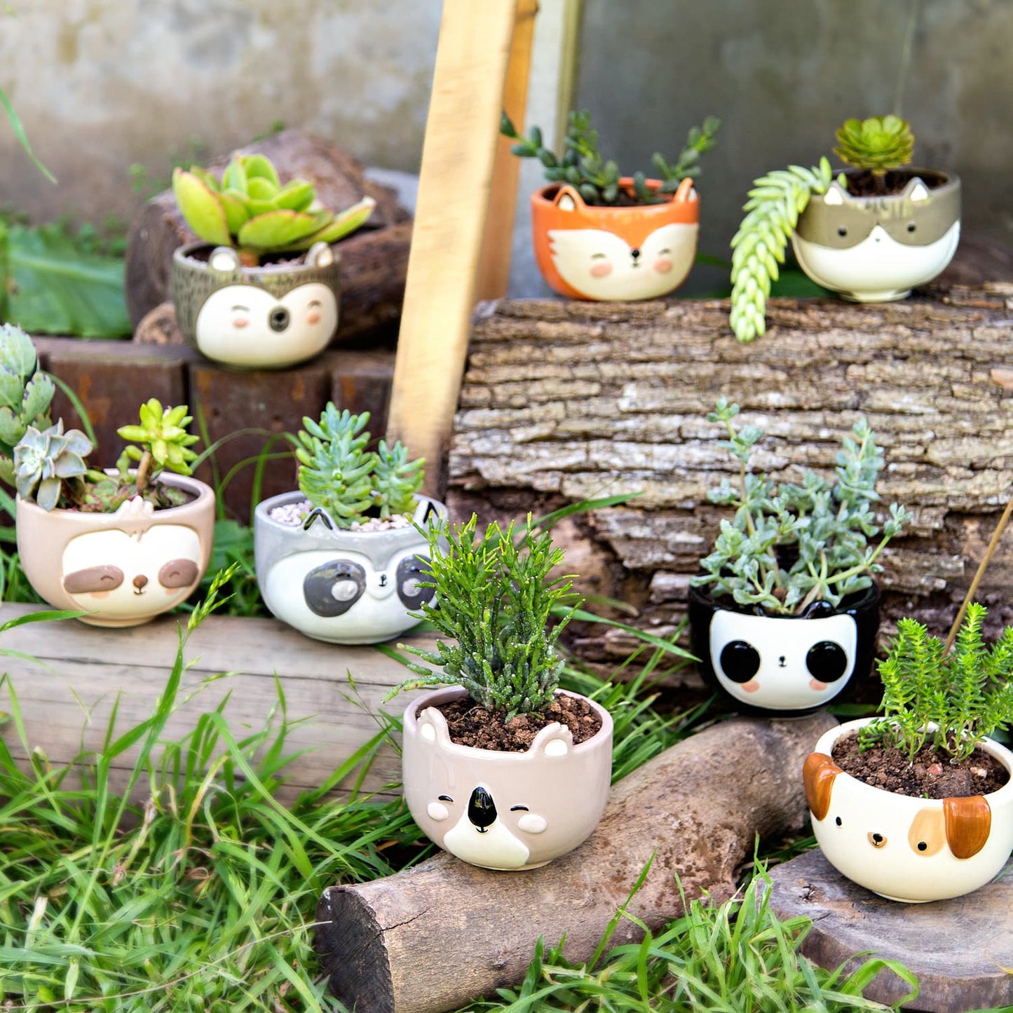 Hedgehog Planter