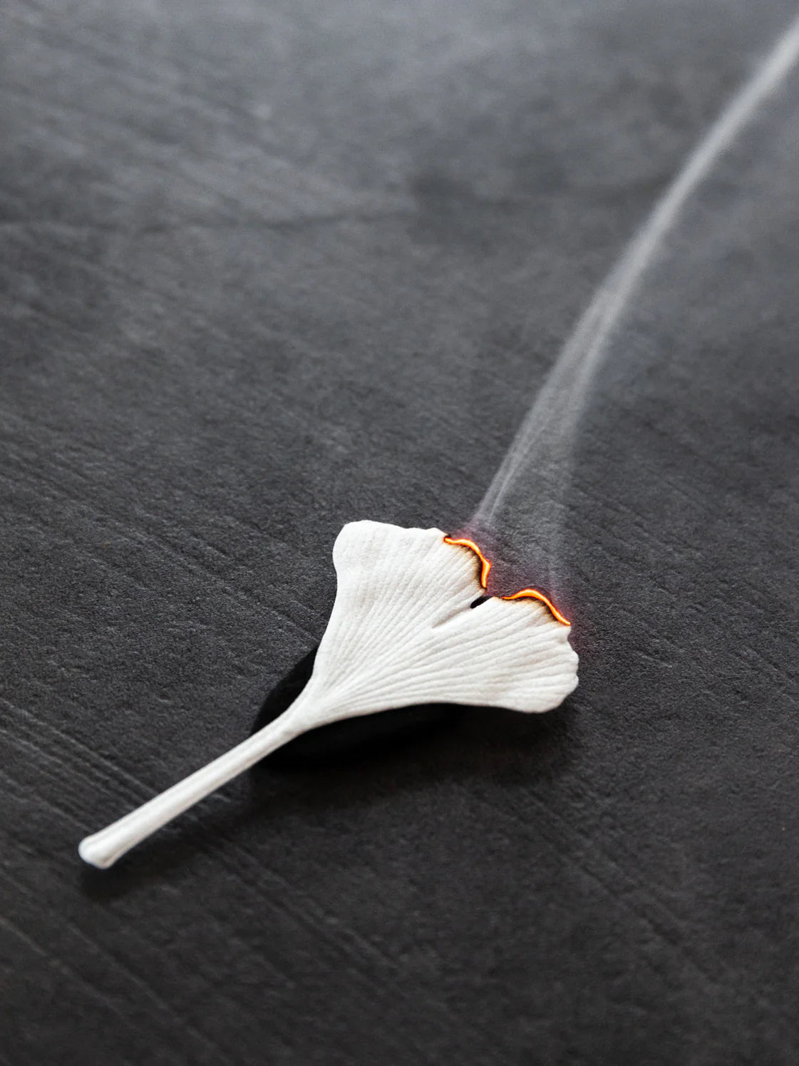 Autumn Fennel Ha Ko Paper Incense