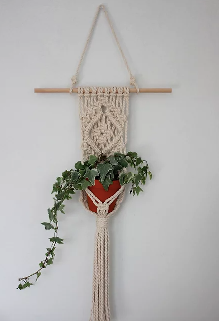 Joey #3 Macrame Plant Wall Hanger