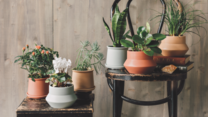 Plant Pot Nest Clay