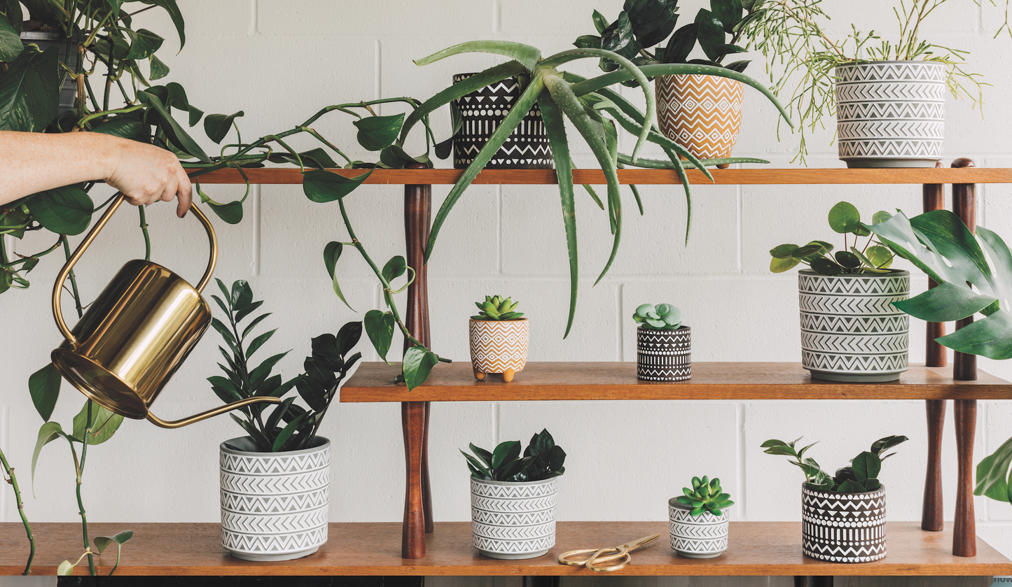 Plant Pot Spark Brown White Large