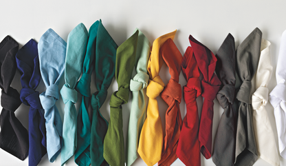 Spectrum Carmine Napkin Set of 4