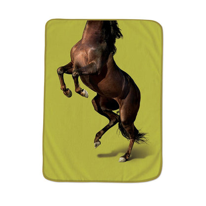 Pet Blanket Horse